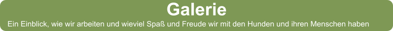 Galerie Ein Einblick, wie wir arbeiten und wieviel Spaß und Freude wir mit den Hunden und ihren Menschen haben