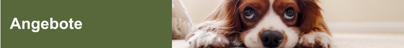 Angebote